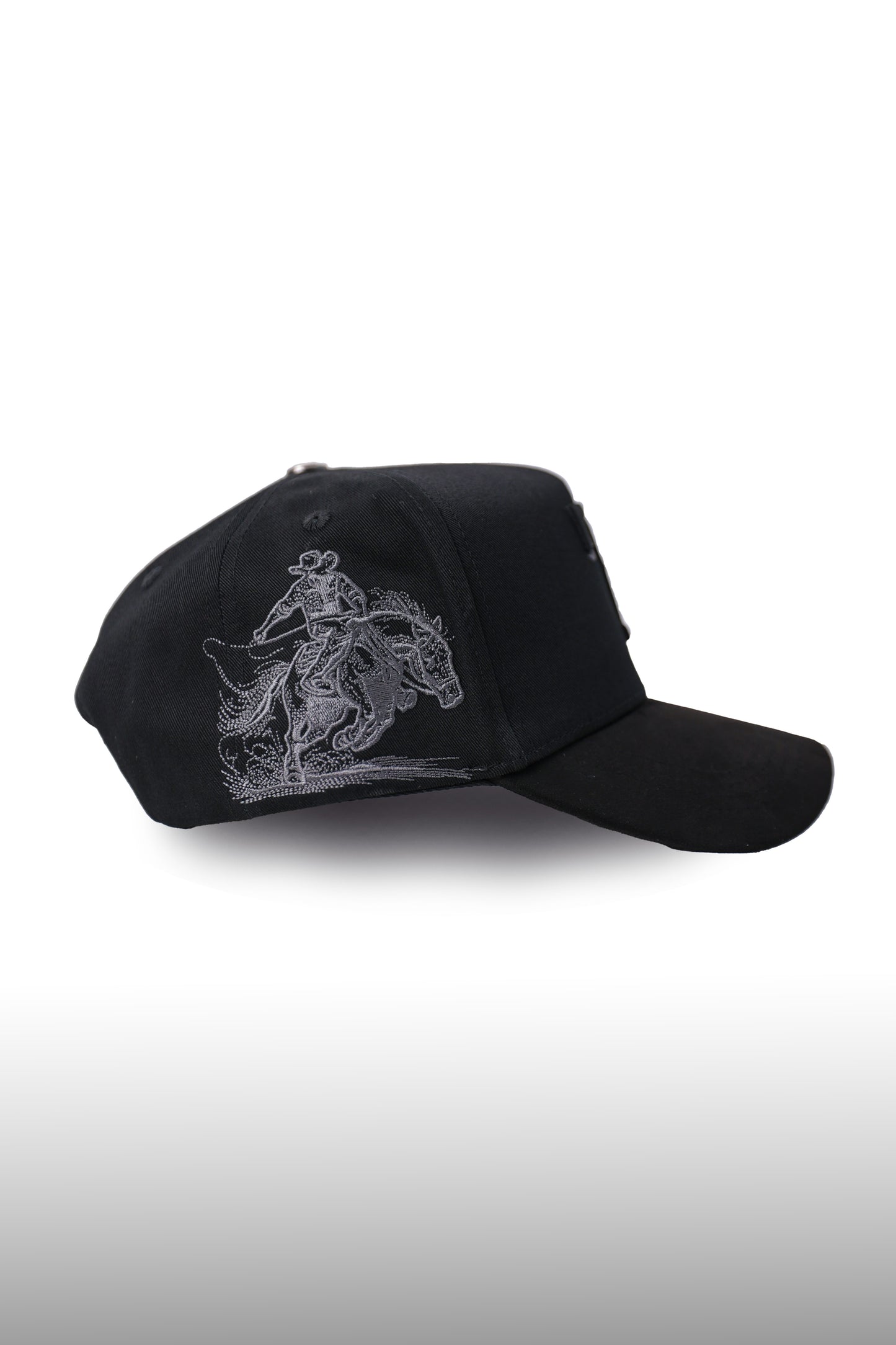 Texas DR Hat