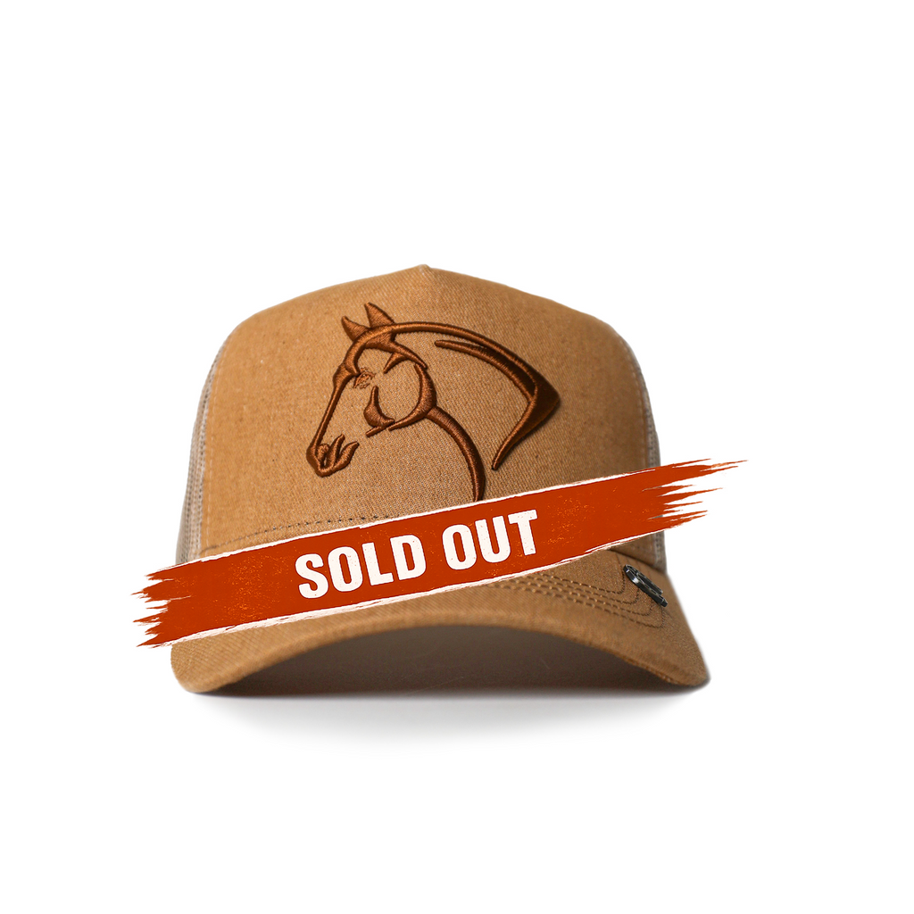 Palomino