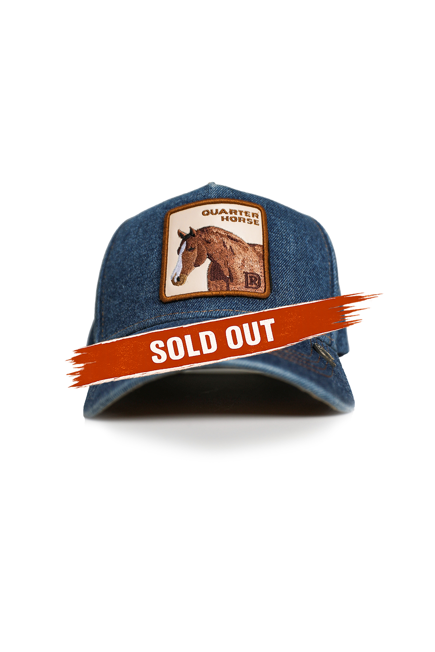 Quarter Horse