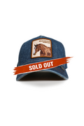 Quarter Horse
