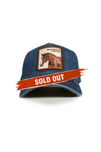 Quarter Horse