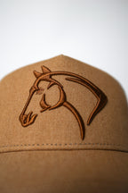 Palomino