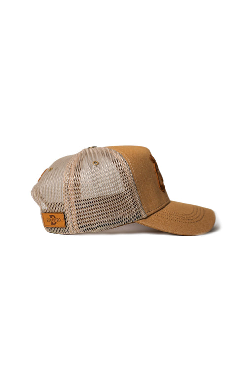 Palomino