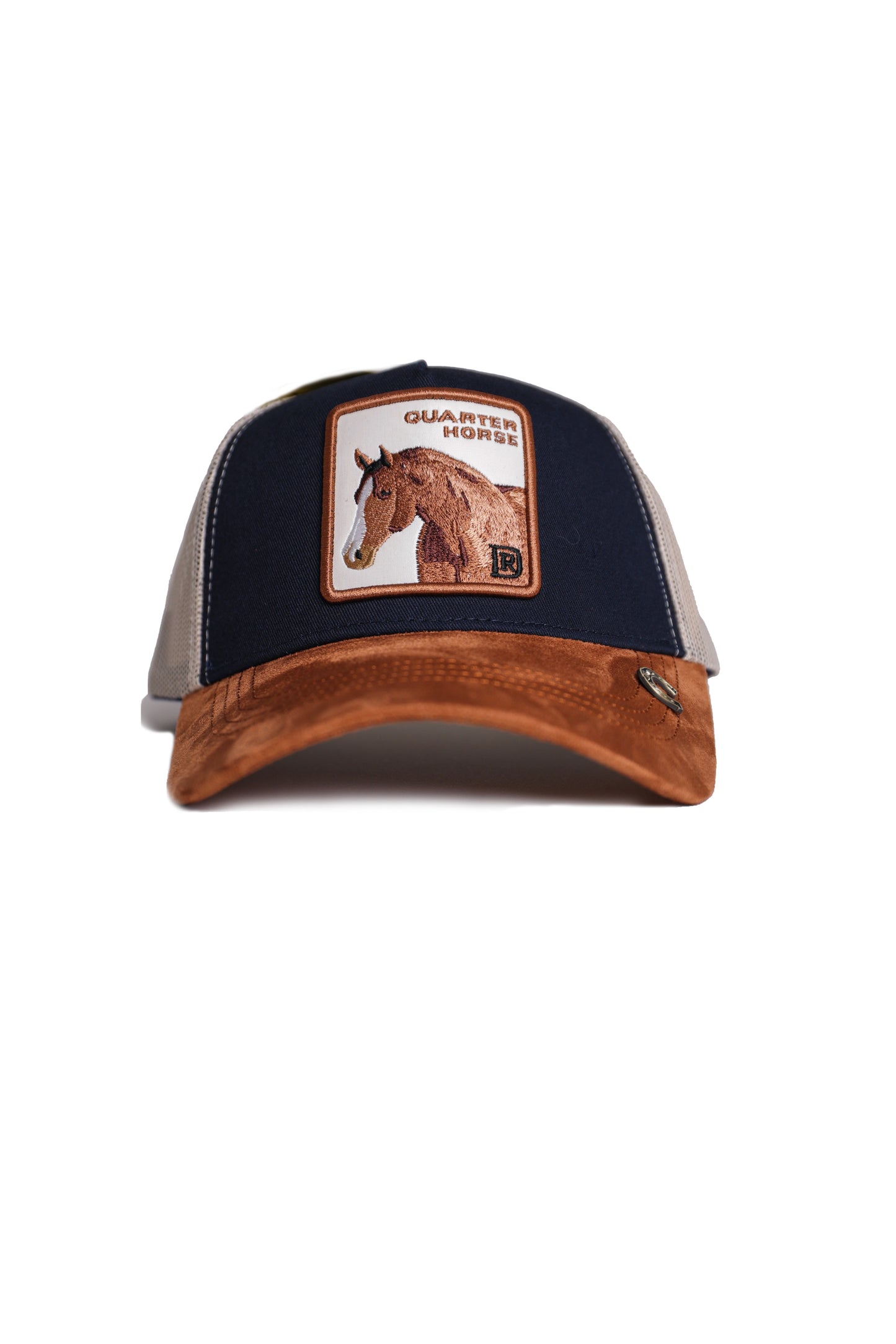Quarter Horse