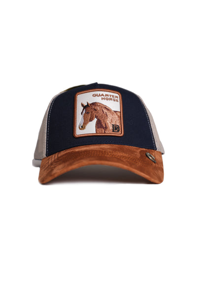 Quarter Horse