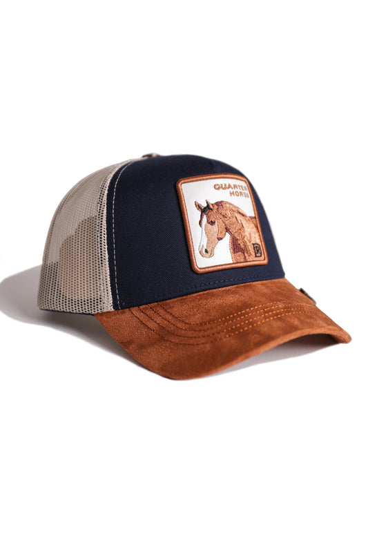 Quarter Horse